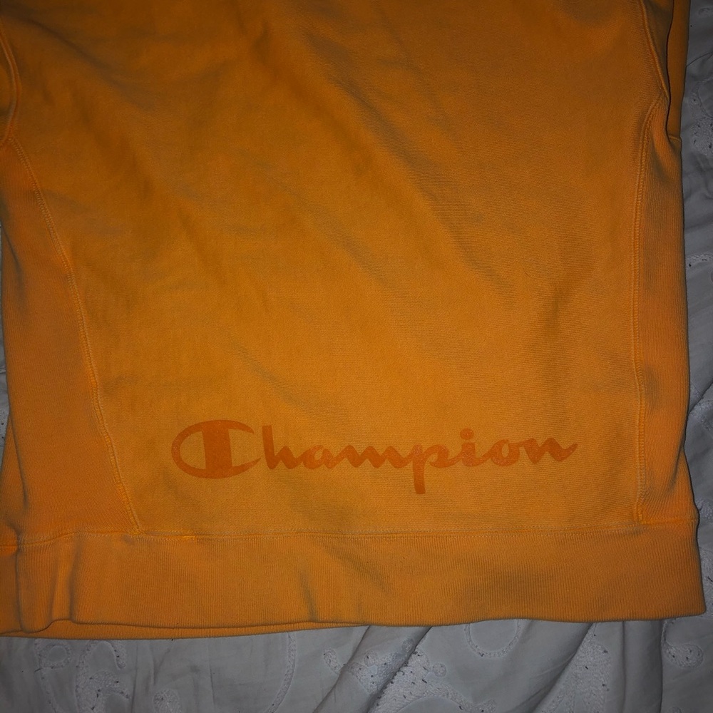 Champion Hoodie - Picture 4 of 4